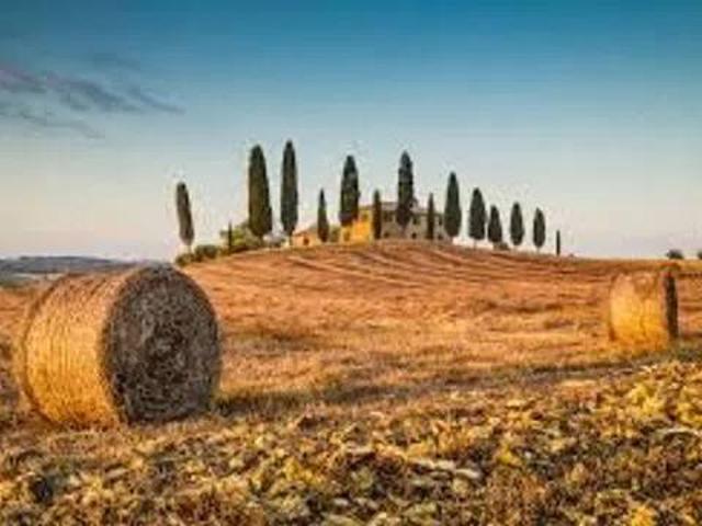Terreno in vendita a Roveredo In Piano, Friuli-Venezia Giulia