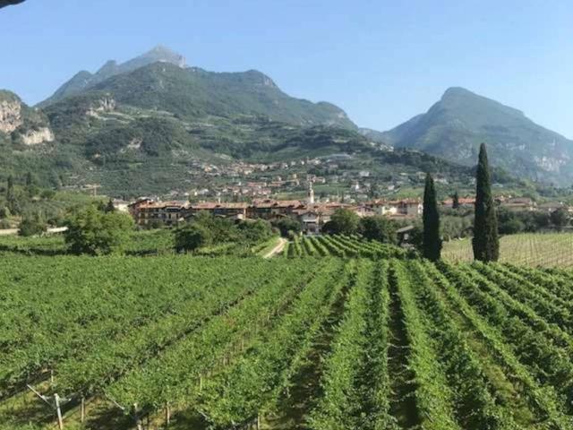 Terreno in vendita a Lizzana, Rovereto