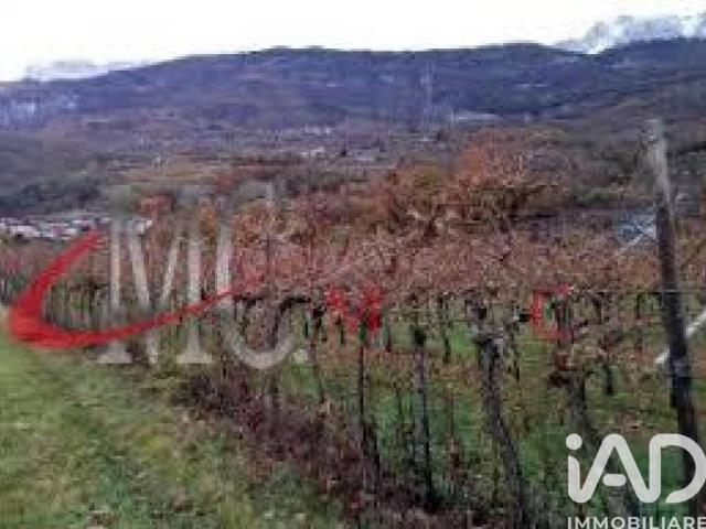 Terreno in vendita a Comunità della Vallagarina, Borgo Sacco