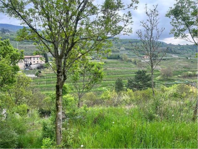 Terreno in vendita a Comunità della Vallagarina, Borgo Sacco