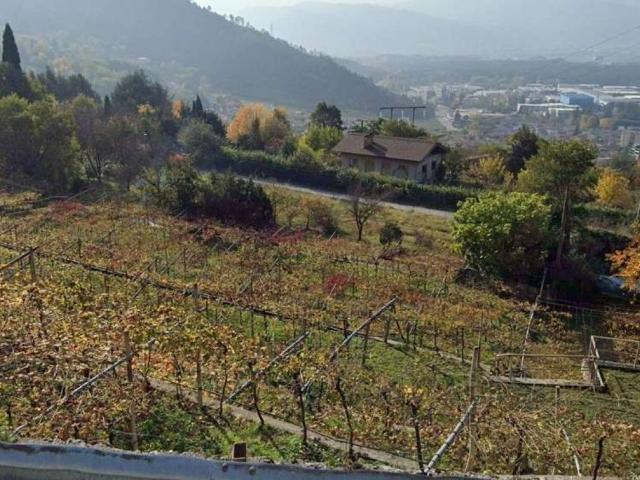 Terreno in vendita a Comunità della Vallagarina, Borgo Sacco