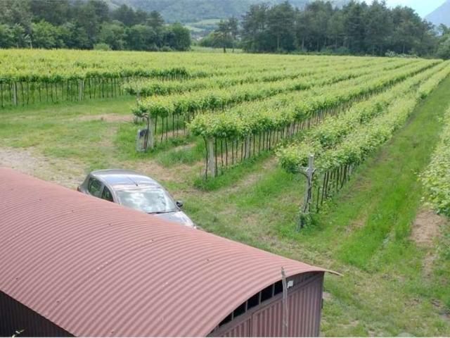 Terreno in vendita a Comunità della Vallagarina, Borgo Sacco