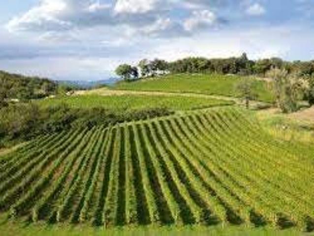 Terreno in vendita a Comunità della Vallagarina, Borgo Sacco