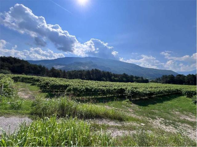 Terreno in vendita a Comunità della Vallagarina, Borgo Sacco