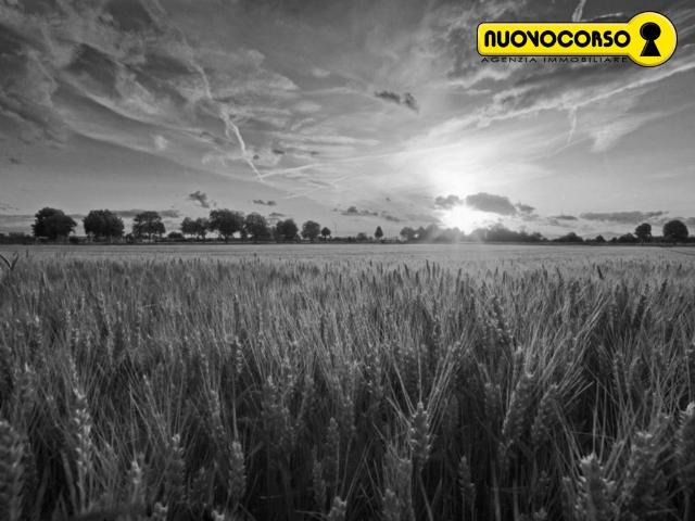 Terreno in vendita a Rovigo, Veneto