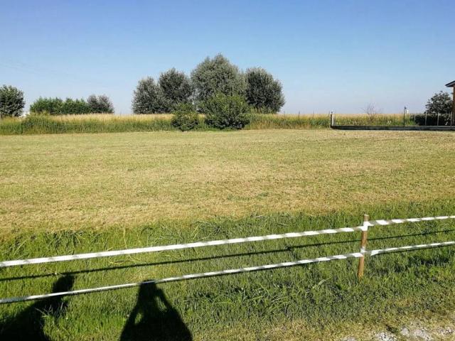 Terreno in vendita a Rovigo, Veneto