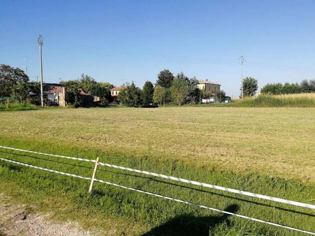Terreno in vendita a Rovigo, Veneto