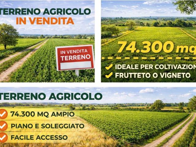 Terreno in vendita a Arquà Polesine, Veneto