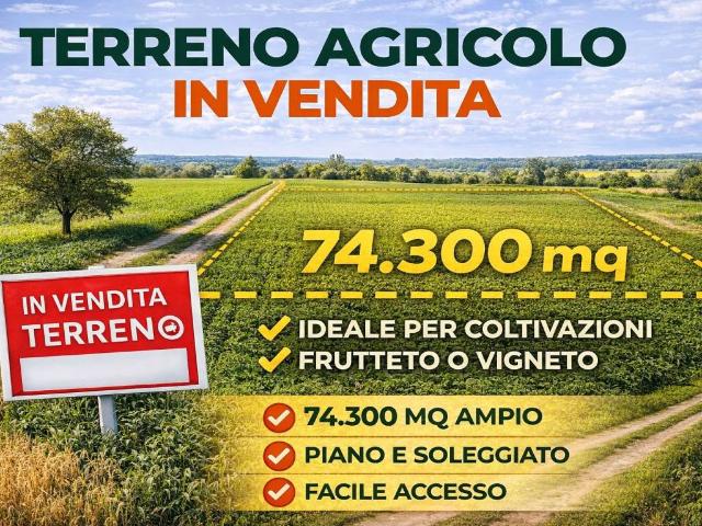Terreno in vendita a Arquà Polesine, Veneto