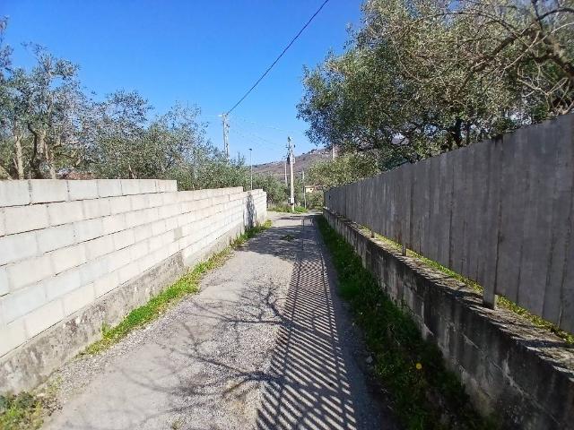 Terreno in vendita a Calabria, Cosenza