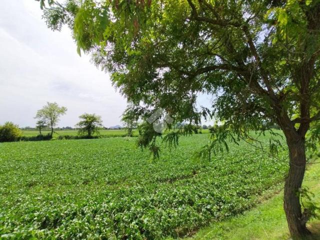 Terreno in vendita a Rovolon, Veneto