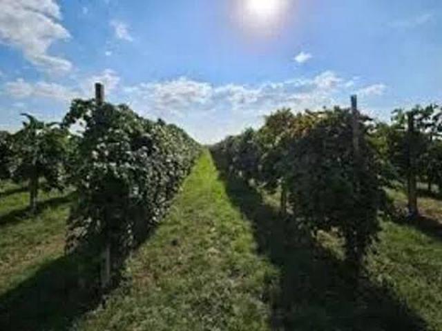 Terreno in vendita a Tresinaro - Secchia, Re