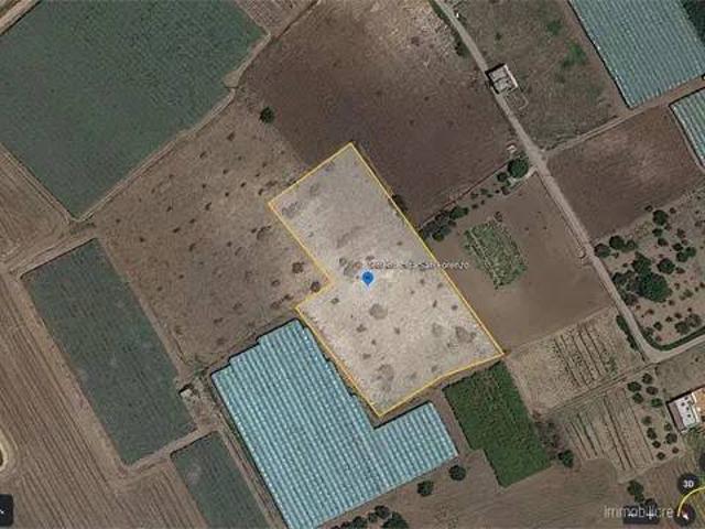 Terreno in vendita a Puglia, Bari