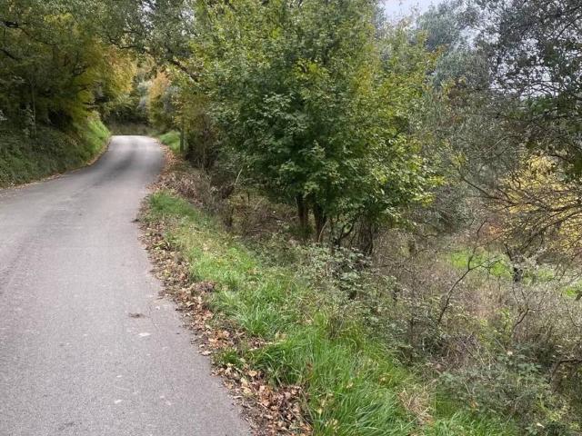 Terreno in vendita a Rutino, Campania