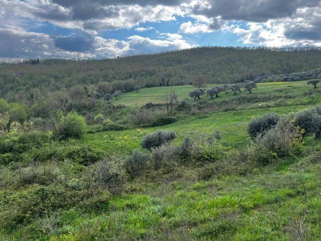 Terreno in vendita a Alvignanello, Campania