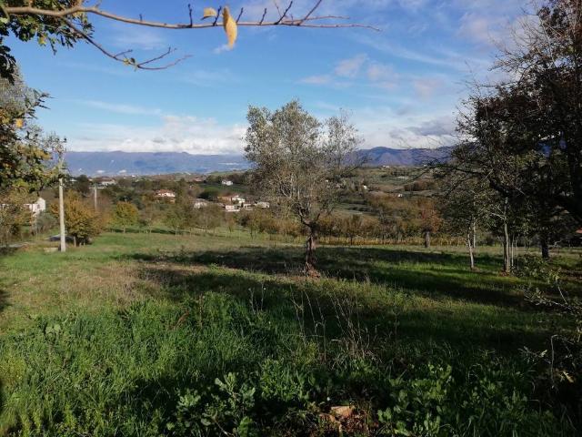 Terreno in vendita a Alvignanello, Campania