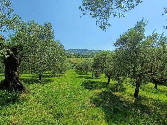 Terreno in vendita a Via Nazionale, Ruviano