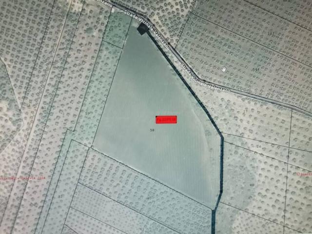 Terreno in vendita a Puglia, Bari