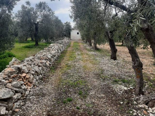 Terreno in vendita a Puglia, Bari