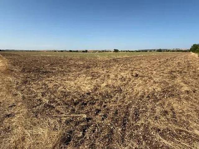 Terreno in vendita a Puglia, Bari