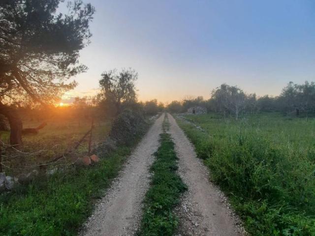 Terreno in vendita a Puglia, Bari