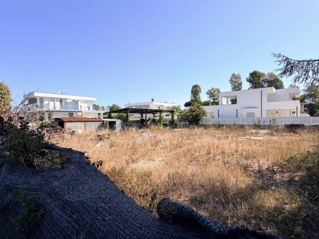Terreno in vendita a Punta di Sabaudia, Sabaudia