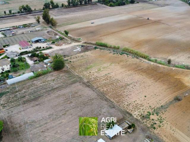Terreno in vendita a Sabaudia, Lazio
