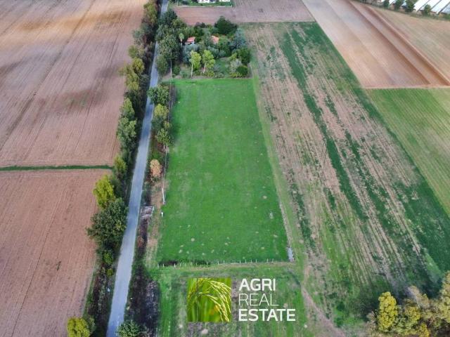 Terreno in vendita a Sabaudia, Lazio