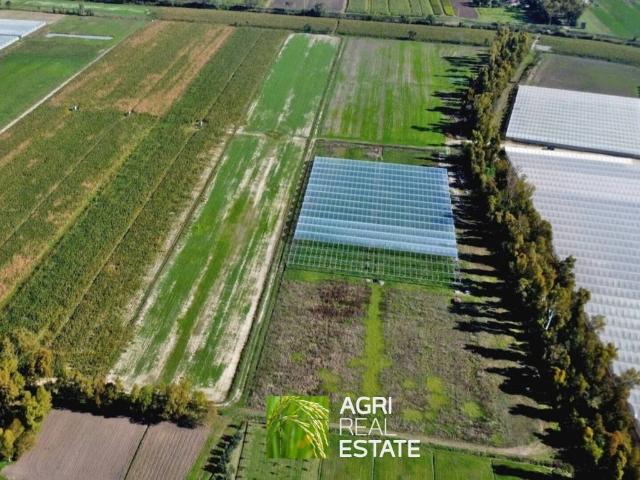 Terreno in vendita a Sabaudia, Lazio