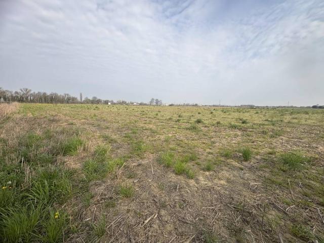Terreno in vendita a Creola, Saccolongo