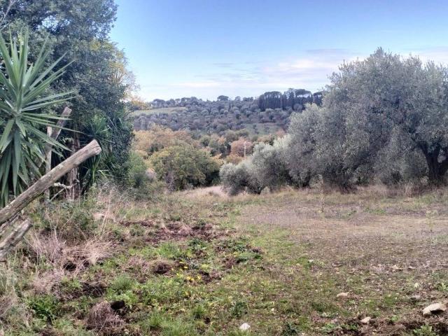 Terreno in vendita a Roma Capitale, Lazio
