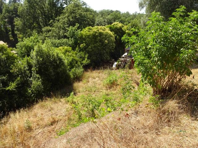 Terreno in vendita a Monte Caminetto, Sacrofano