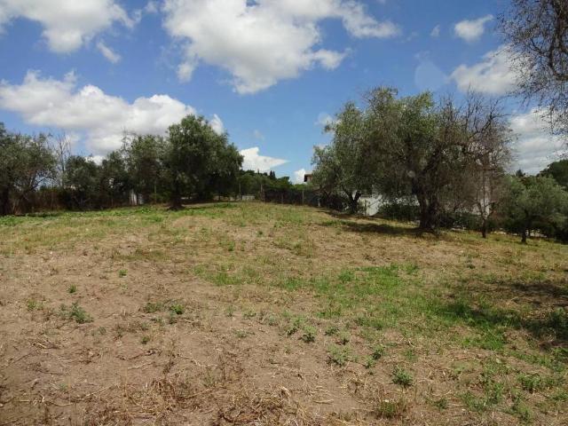Terreno in vendita a Roma Capitale, Lazio