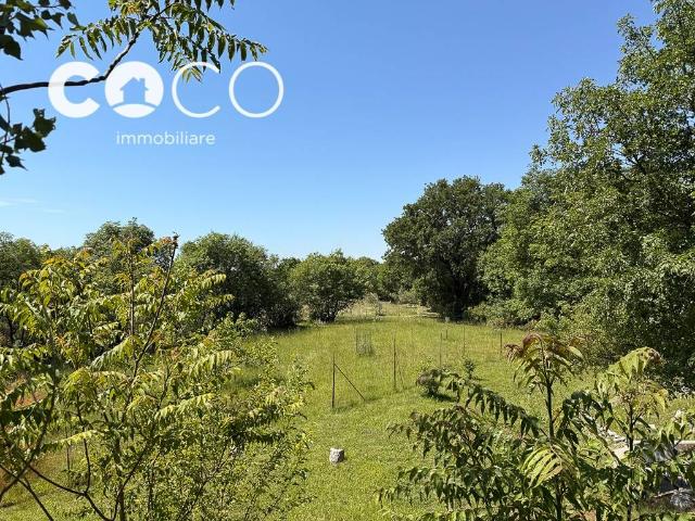 Terreno in vendita a Sagrado, Friuli-Venezia Giulia