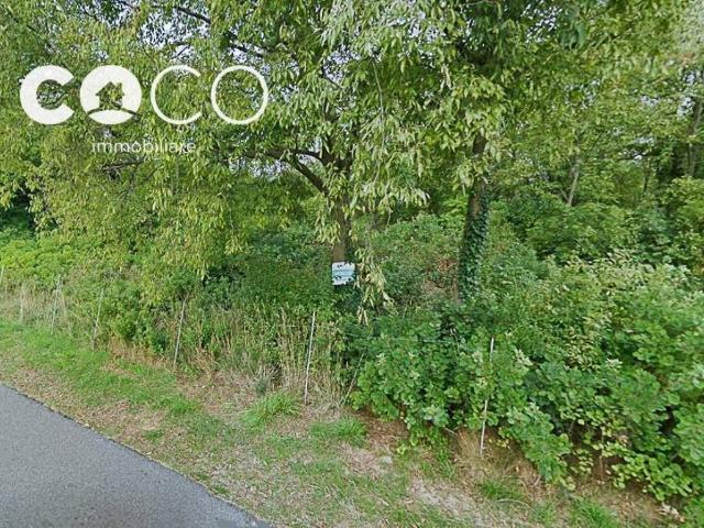 Terreno in vendita a Sagrado, Friuli-Venezia Giulia
