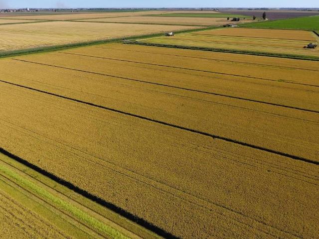 Terreno in vendita a Unione Terre d'Acqua, Sala Bolognese