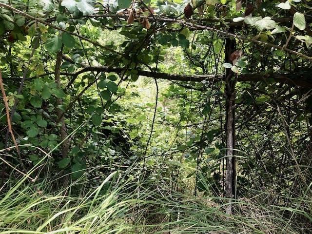 Terreno in vendita a San Bartolomeo di Giovi, Salerno