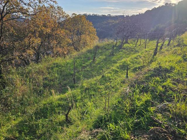 Terreno in vendita a San Bartolomeo di Giovi, Salerno