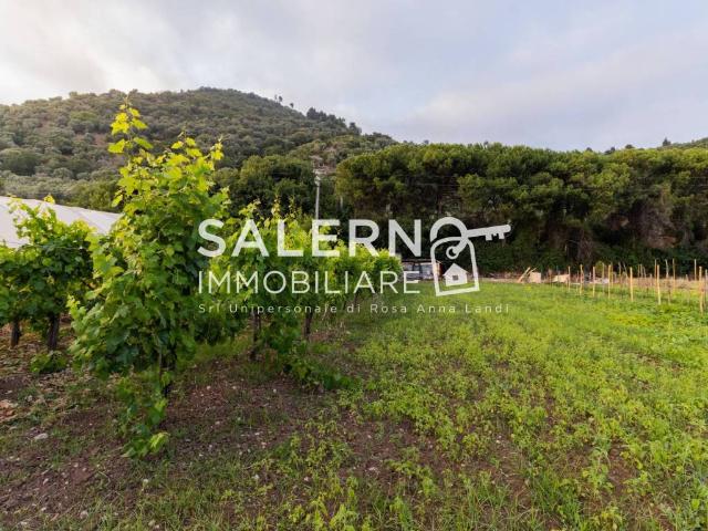 Terreno in vendita a Salerno, Campania