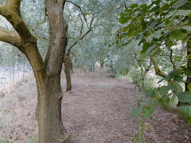 Terreno in vendita a Salerno