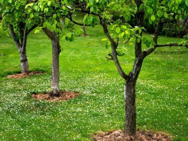 Terreno in vendita a Salerno
