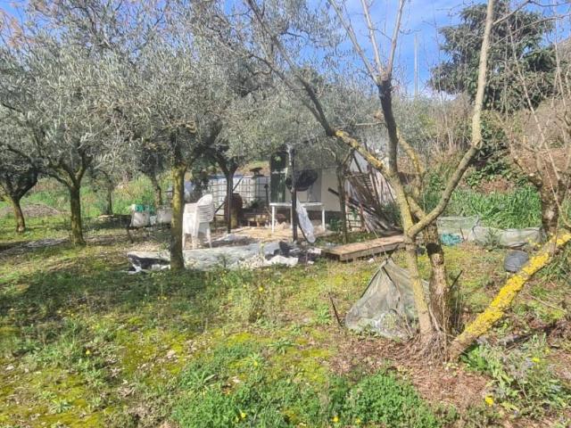 Terreno in vendita a Casale, Salerno