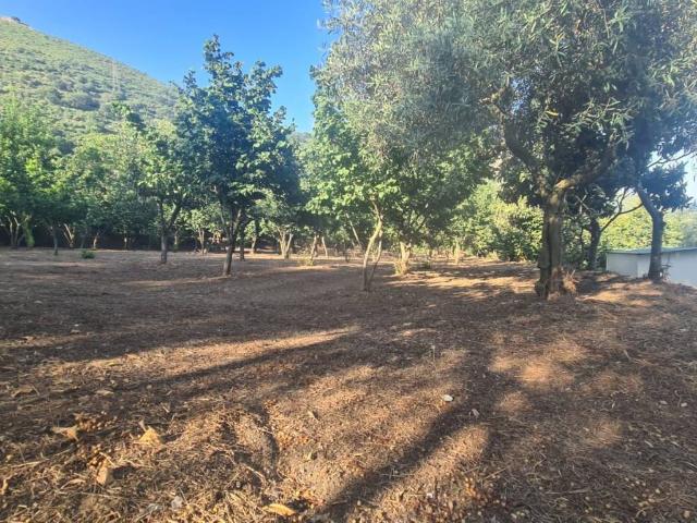 Terreno in vendita a Salerno