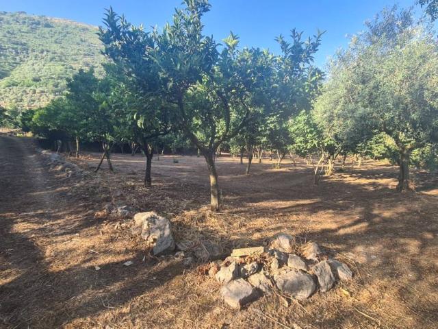 Terreno in vendita a Casale, Salerno