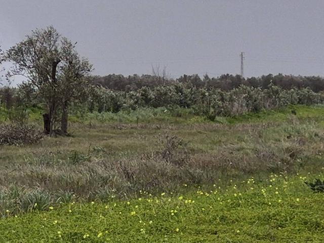 Terreno in vendita a Puglia, Lecce