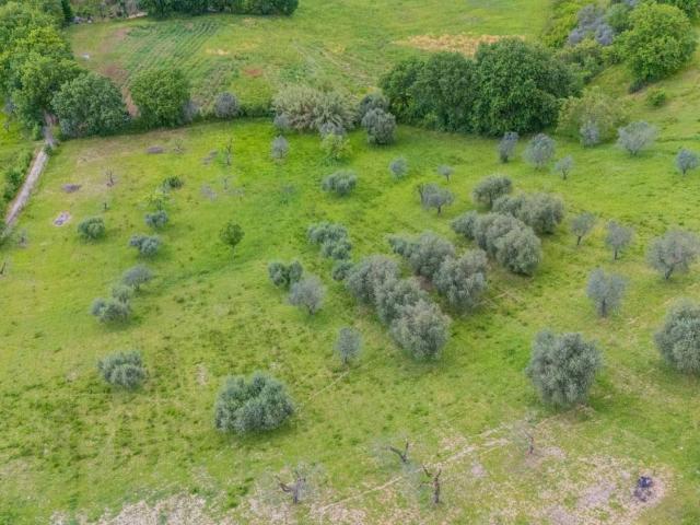 Terreno in vendita a Salisano, Lazio