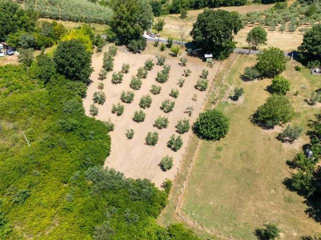 Terreno in vendita a Salisano, Lazio