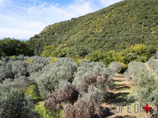 Terreno in vendita a Salisano, Lazio