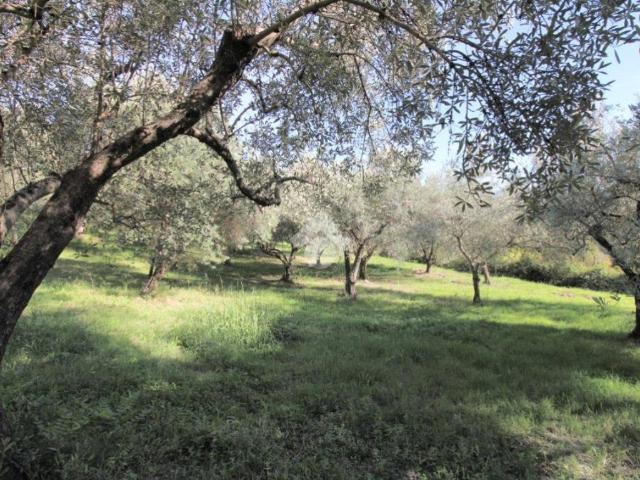 Terreno in vendita a Salisano, Lazio