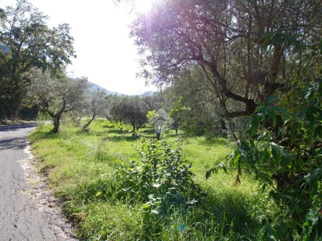 Terreno in vendita a Salisano, Lazio